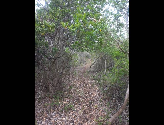 LAND FOR SALE IN WILDERNESS